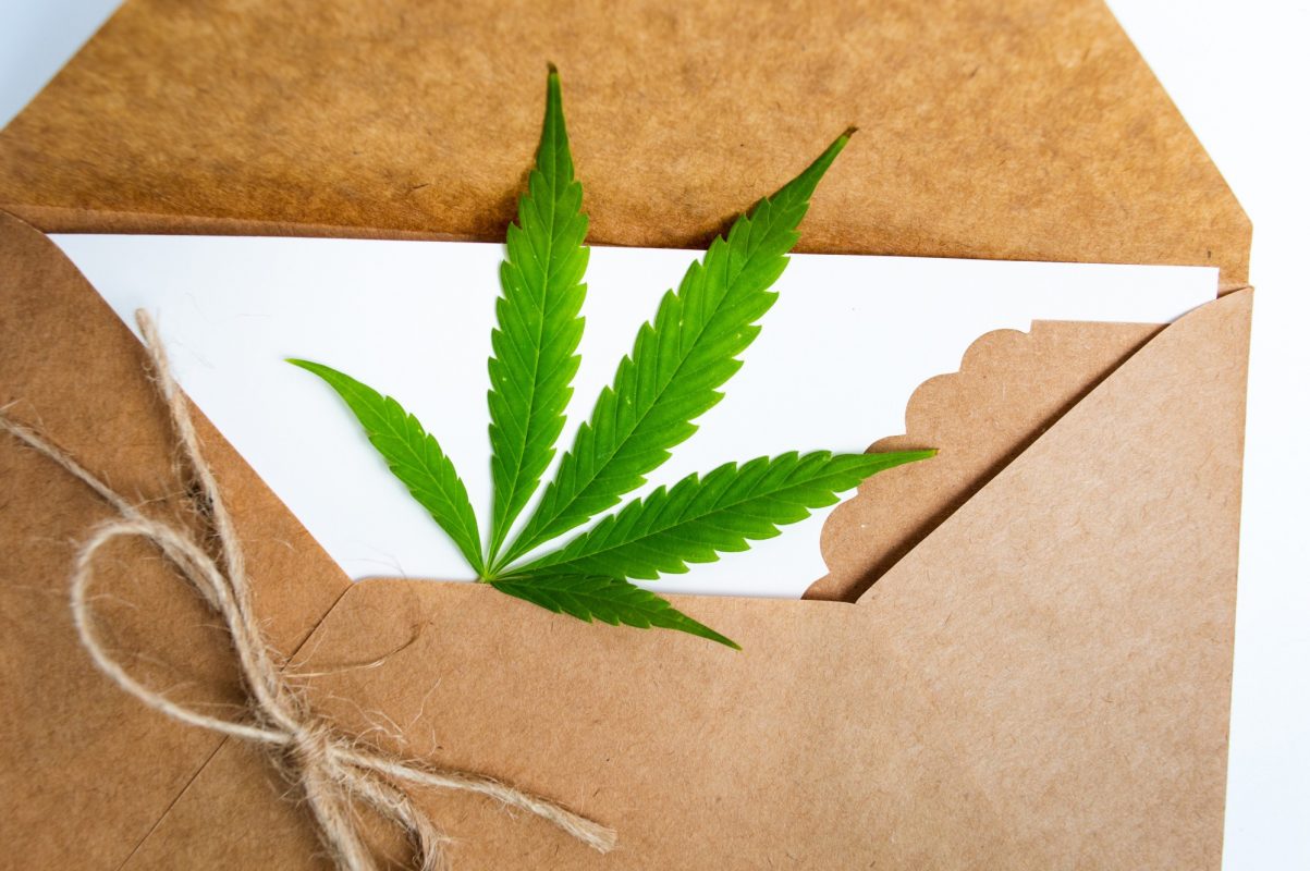 Cannabis leaf resting on a white card inside an open kraft paper envelope tied with twine, warm brown and green tones