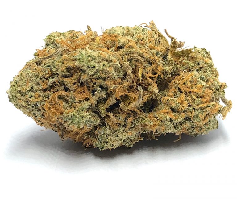 Close-up of a dense cannabis flower bud with orange hairs and light green trichome-covered leaves